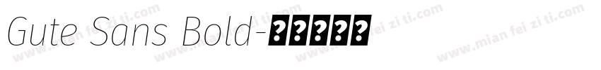 Gute Sans Bold字体转换